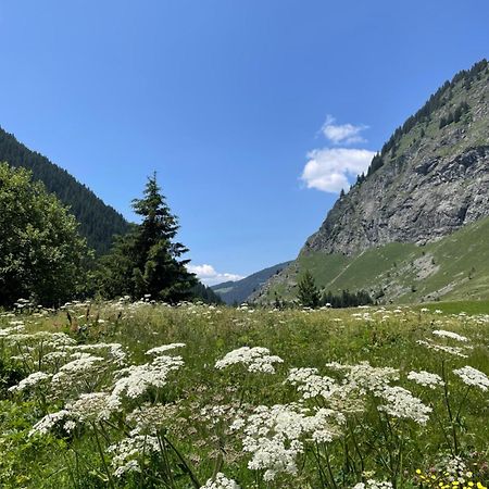 T2 Vue Sur Le Parc De La Vanoise لا بلاني المظهر الخارجي الصورة