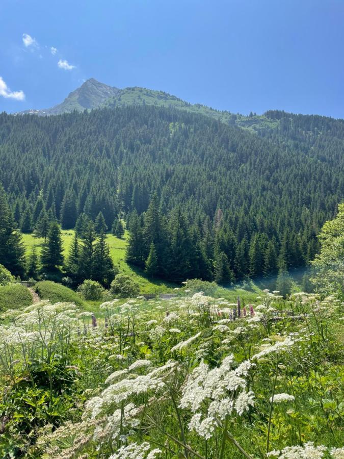 T2 Vue Sur Le Parc De La Vanoise لا بلاني المظهر الخارجي الصورة