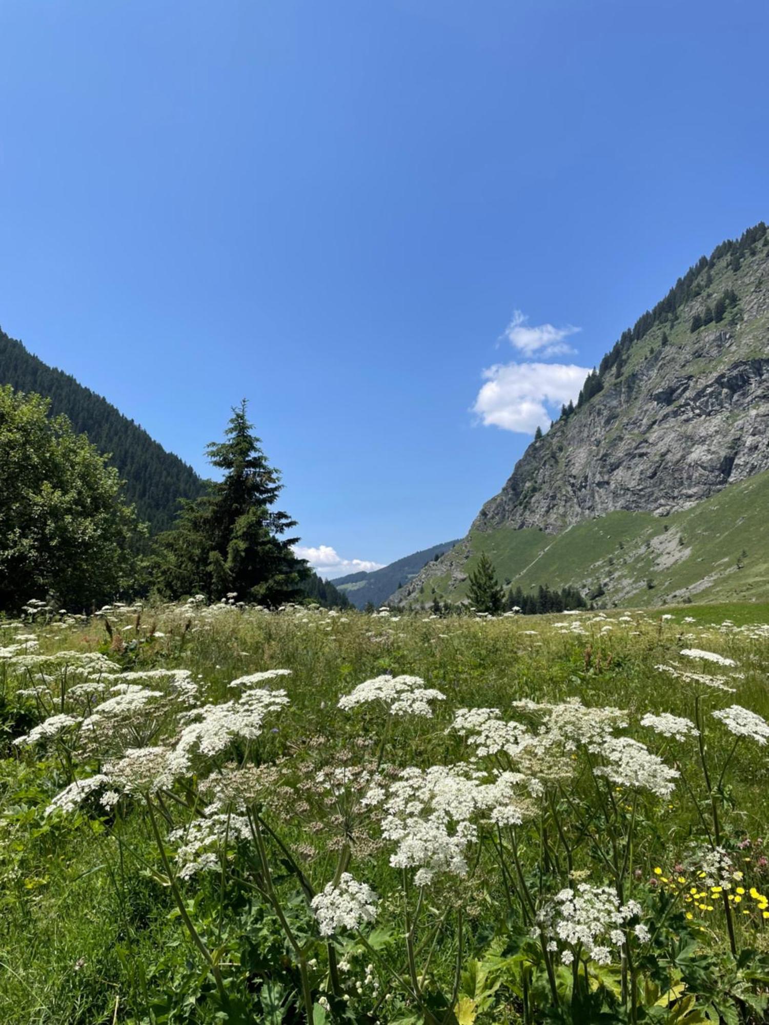 T2 Vue Sur Le Parc De La Vanoise لا بلاني المظهر الخارجي الصورة